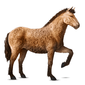jazdecký kôň quarter horse tmavý hnedák