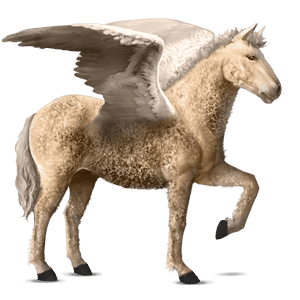 jazdecký pegas curly palomino