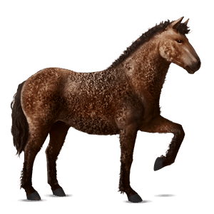 jazdecký kôň americký paint horse čierny tobiano