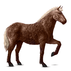 jazdecký kôň curly gaštanový