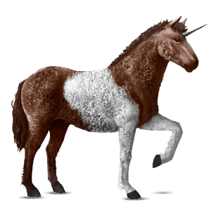 jazdecký jednorožec curly ryšiak tobiano