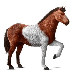 jazdecký kôň curly gaštanový
