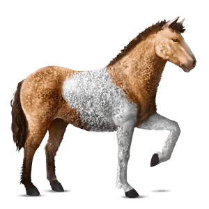 jazdecký kôň curly čierny ryšiak