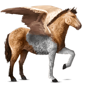 jazdecký pegas achaltekinský kôň palomino
