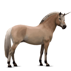 jednorožcový poník fjord brunblakk