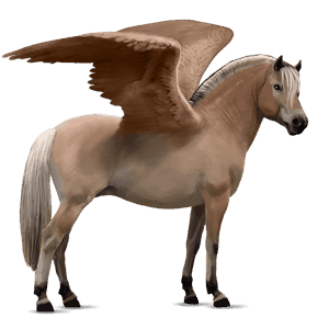 pegasový poník fjord brunblakk