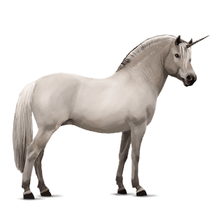 jednorožcový poník waleský pony svetlošedý