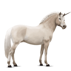 jednorožcový poník shetlandský pony hnedák