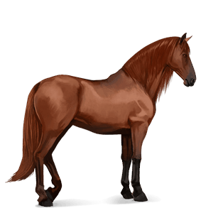 jazdecký kôň americký paint horse gaštanový overo