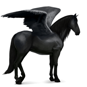 jazdecký pegas camargue svetlošedý