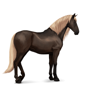 jazdecký kôň anglický plnokrvník hnedák