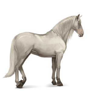 jazdecký kôň andalúzsky kôň cremello