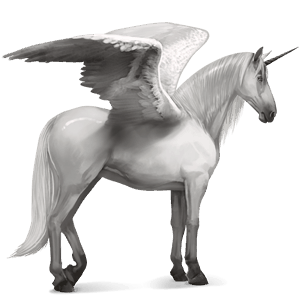 okrídlený jazdecký jednorožec quarter horse čierny ryšiak