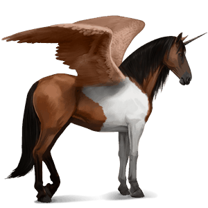 okrídlený jazdecký jednorožec americký paint horse tmavý hnedák overo