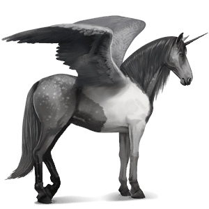 okrídlený jazdecký jednorožec americký paint horse tmavý hnedák tobiano