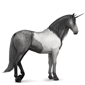 jazdecký jednorožec americký paint horse ryšiak tobiano