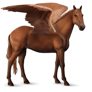 jazdecký pegas camargue svetlošedý