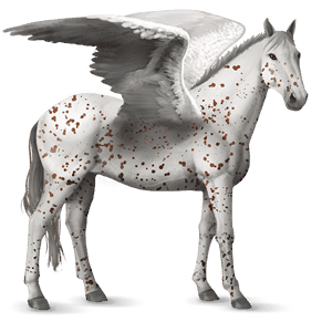 jazdecký pegas quarter horse gaštanový