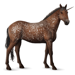 jazdecký jednorožec americký paint horse čierny overo
