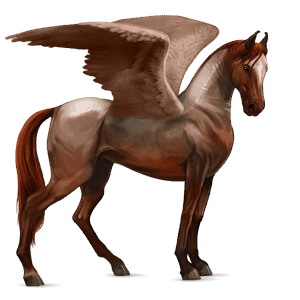 jazdecký pegas americký paint horse sivý overo