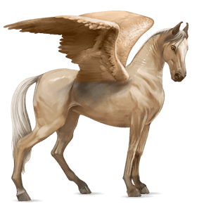 jazdecký pegas anglický plnokrvník palomino
