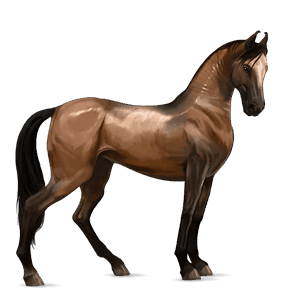 jazdecký kôň svetlý hnedák