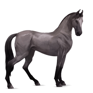 jazdecký kôň francúzsky klusák svetlý hnedák