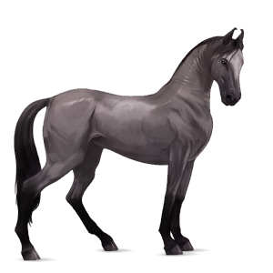 jazdecký kôň quarter horse gaštanový