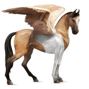 jazdecký pegas americký paint horse hnedák tobiano