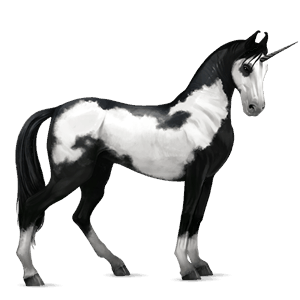 jazdecký jednorožec achaltekinský kôň palomino