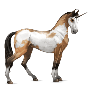 jazdecký jednorožec achaltekinský kôň palomino