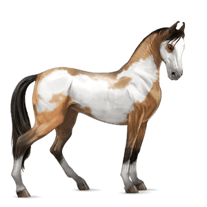 jazdecký kôň andalúzsky kôň svetlý hnedák