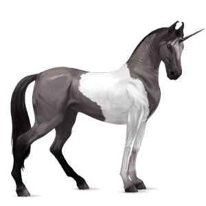 jazdecký jednorožec americký paint horse myšací šedý tobiano