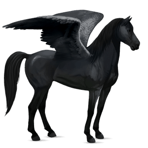 jazdecký pegas americký paint horse čerešňový tobiano