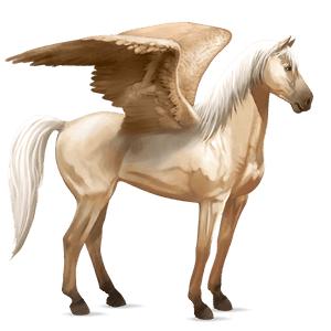 jazdecký pegas americký paint horse hnedák tovero