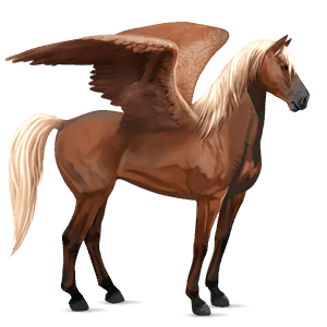 jazdecký pegas anglický plnokrvník palomino