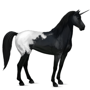 jazdecký jednorožec quarter horse svetlý hnedák