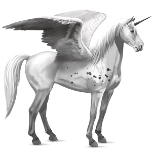 okrídlený jazdecký jednorožec americký paint horse hnedák tobiano