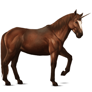 jazdecký jednorožec quarter horse gaštanový