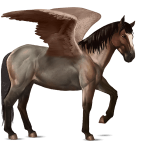 jazdecký pegas gypsy vanner hnedák tobiano