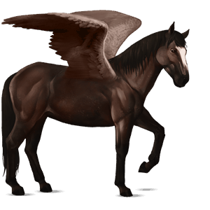 jazdecký pegas appaloosa gaštanový leopard
