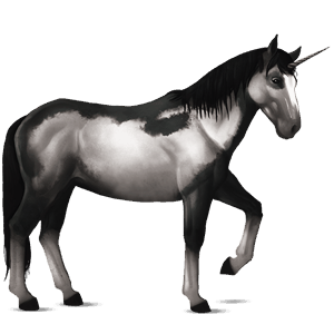 jazdecký jednorožec quarter horse hnedák