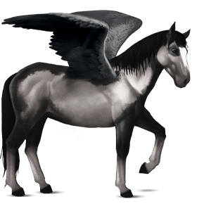 jazdecký pegas americký paint horse čierny tobiano