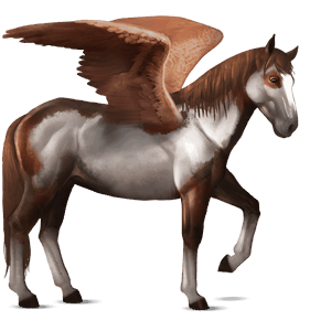 jazdecký pegas palomino