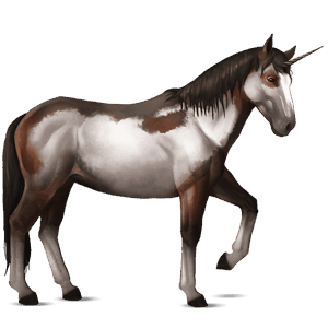 jazdecký jednorožec americký paint horse hnedák overo