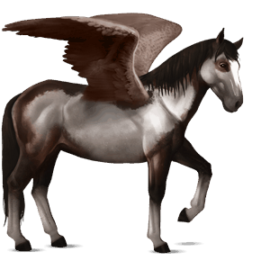 jazdecký pegas americký paint horse škvrnitý šedý tobiano