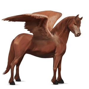 pegasový poník newfoundlandský pony Čierny