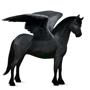 pegasový poník waleský pony Čierny