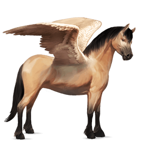 pegasový poník waleský pony hnedý ryšiak