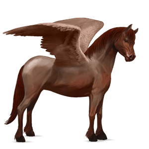 pegasový poník waleský pony hnedý ryšiak